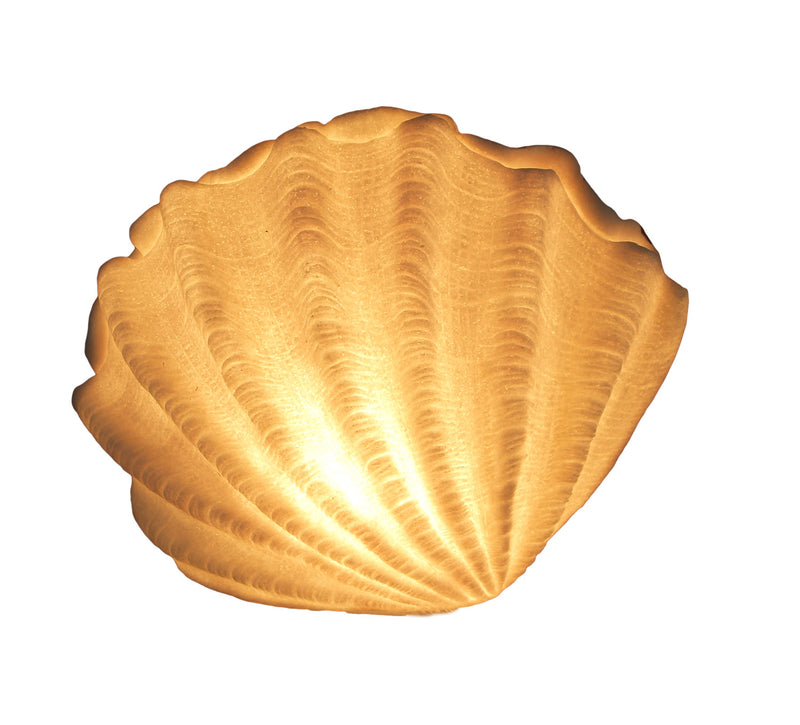 White Sandstone Finish Vertical Scallop Shell Coastal Art Accent Lamp Image 1