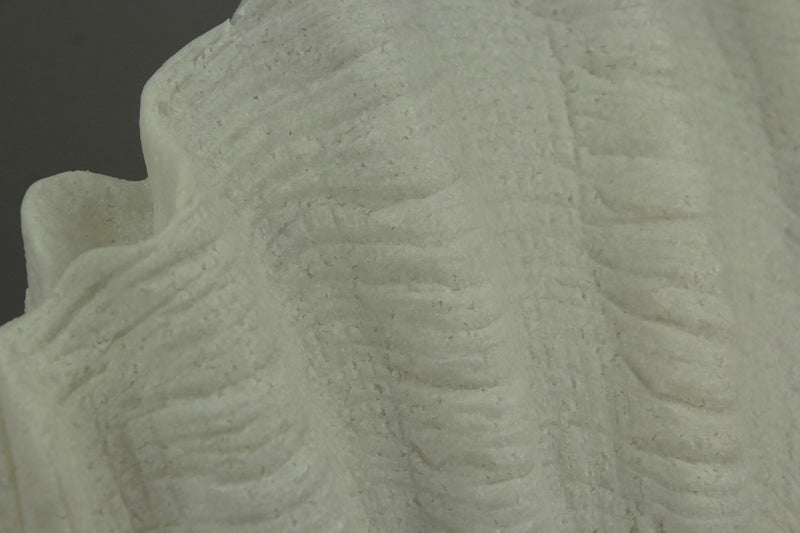 White Sandstone Finish Vertical Scallop Shell Coastal Art Accent Lamp Image 3