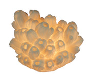 White Faux Tube Coral Decorative Coastal Art Accent Lamp Image 1