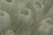 White Faux Tube Coral Decorative Coastal Art Accent Lamp Image 3