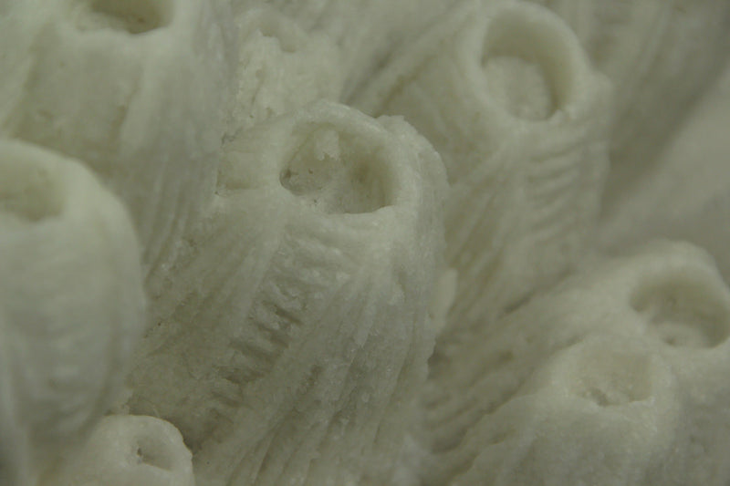 White Faux Tube Coral Decorative Coastal Art Accent Lamp Image 3
