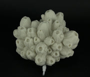 White Faux Tube Coral Decorative Coastal Art Accent Lamp Image 4