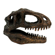 Gigantosaurus Skull - Image 8 - Things2Die4 Giganotosaurus Dinosaur Statue, 6.5 Inch Wide