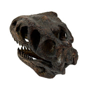 Gigantosaurus Skull - Image 3 - Things2Die4 Giganotosaurus Dinosaur Statue, 6.5 Inch Wide