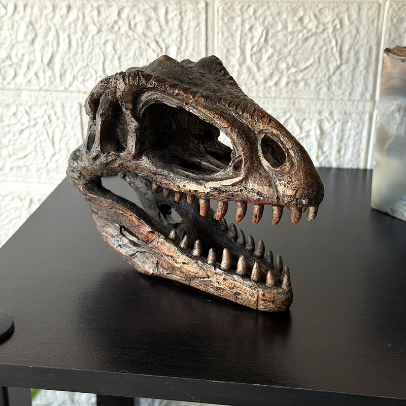 Gigantosaurus Skull - Image 4 - Things2Die4 Giganotosaurus Dinosaur Statue, 6.5 Inch Wide