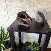 Gigantosaurus Skull - Image 5 - Things2Die4 Giganotosaurus Dinosaur Statue, 6.5 Inch Wide