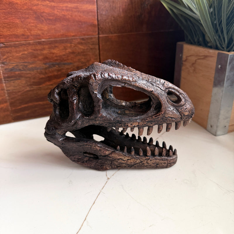 Gigantosaurus Skull - Image 6 - Things2Die4 Giganotosaurus Dinosaur Statue, 6.5 Inch Wide
