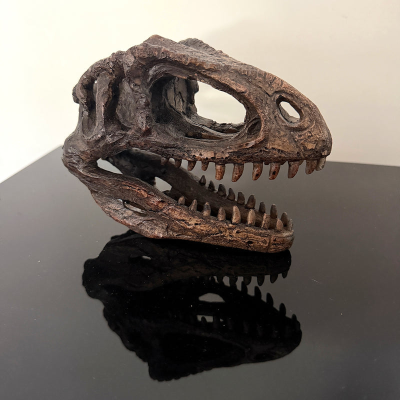 Gigantosaurus Skull - Image 7 - Things2Die4 Giganotosaurus Dinosaur Statue, 6.5 Inch Wide