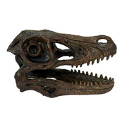 Velociraptor Skull - Image 8 - Things2Die4 Velociraptor Statue, 7 Inch Brown Resin Open-Jaw