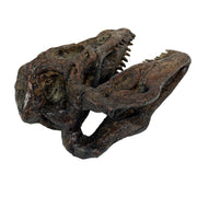 Velociraptor Skull - Image 2 - Things2Die4 Velociraptor Statue, 7 Inch Brown Resin Open-Jaw