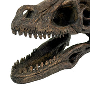 Velociraptor Skull - Image 9 - Things2Die4 Velociraptor Statue, 7 Inch Brown Resin Open-Jaw