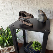 Velociraptor Skull - Image 5 - Things2Die4 Velociraptor Statue, 7 Inch Brown Resin Open-Jaw