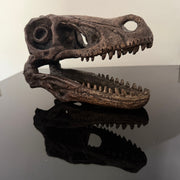 Velociraptor Skull - Image 7 - Things2Die4 Velociraptor Statue, 7 Inch Brown Resin Open-Jaw