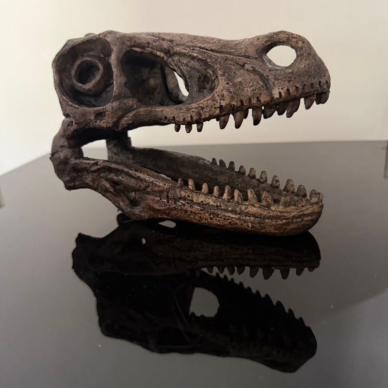 Velociraptor Skull - Image 7 - Things2Die4 Velociraptor Statue, 7 Inch Brown Resin Open-Jaw