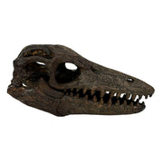 Mosasaurus Skull - Image 8 - Things2Die4 Mosasaurus Statue, 7.5 Inch Brown Resin