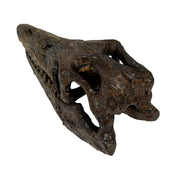 Mosasaurus Skull - Image 3 - Things2Die4 Mosasaurus Statue, 7.5 Inch Brown Resin