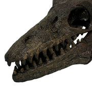 Mosasaurus Skull - Image 9 - Things2Die4 Mosasaurus Statue, 7.5 Inch Brown Resin