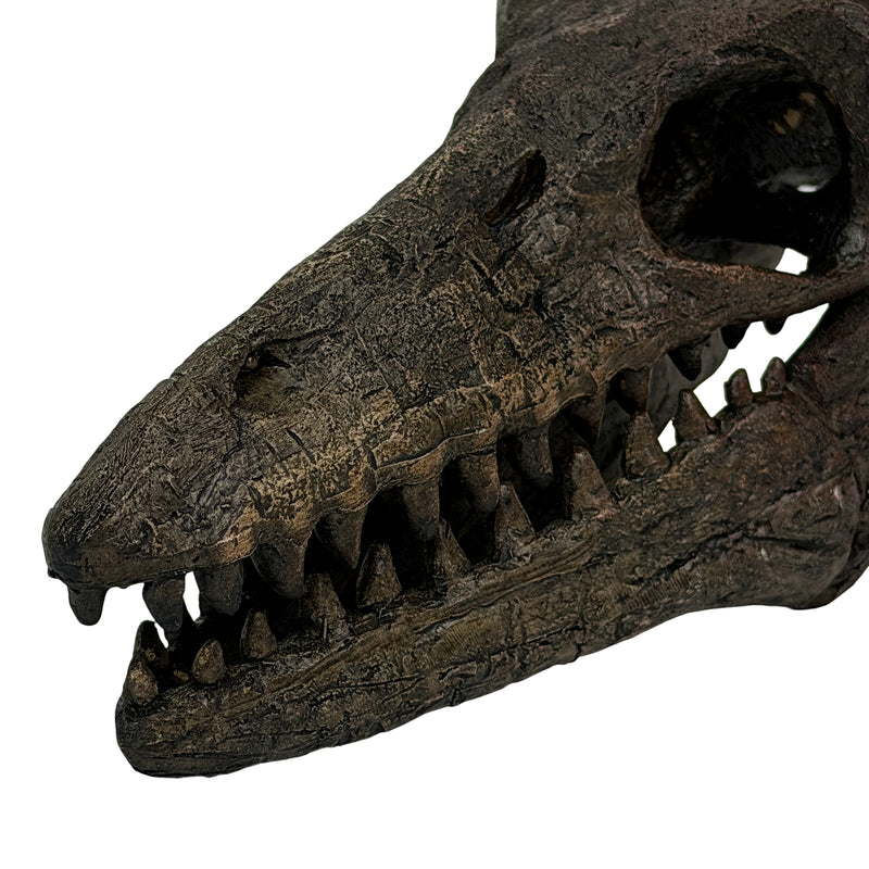 Mosasaurus Skull - Image 9 - Things2Die4 Mosasaurus Statue, 7.5 Inch Brown Resin