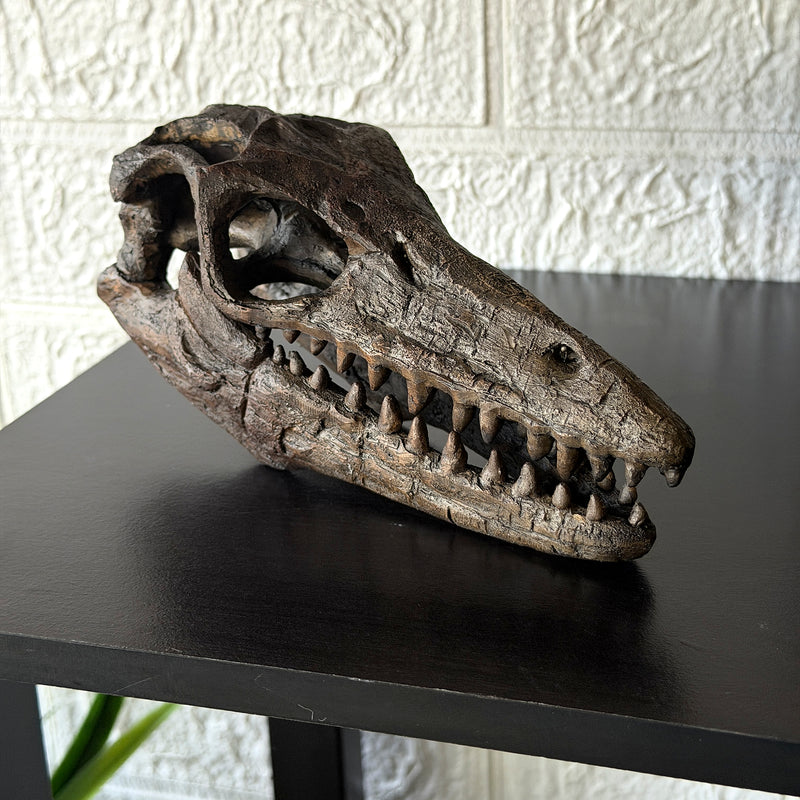 Mosasaurus Skull - Image 4 - Things2Die4 Mosasaurus Statue, 7.5 Inch Brown Resin