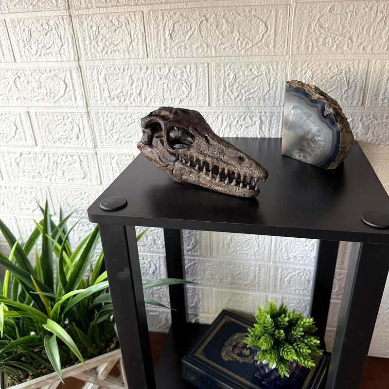 Mosasaurus Skull - Image 5 - Things2Die4 Mosasaurus Statue, 7.5 Inch Brown Resin
