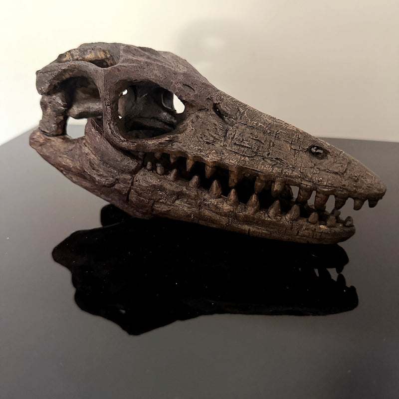 Mosasaurus Skull - Image 7 - Things2Die4 Mosasaurus Statue, 7.5 Inch Brown Resin