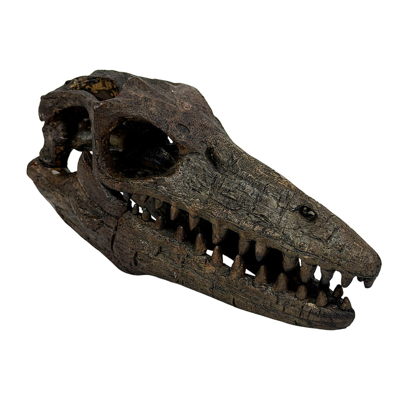 Mosasaurus Skull - Image 1 - Things2Die4 Mosasaurus Statue, 7.5 Inch Brown Resin