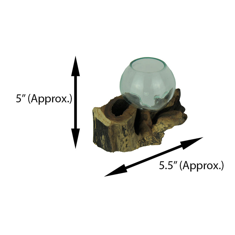 Set of 2 Molten Glass Vases on Teak Driftwood, 6.5 Inch Image 4