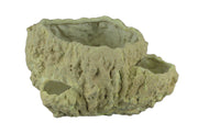 Off-White Fossilized Coral Look Decorative Coastal Decor Vase Image 1