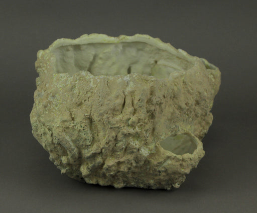 Off-White Fossilized Coral Look Decorative Coastal Decor Vase Image 2