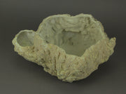 Off-White Fossilized Coral Look Decorative Coastal Decor Vase Image 3