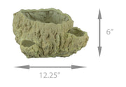 Off-White Fossilized Coral Look Decorative Coastal Decor Vase Image 4