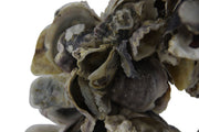 Natural Oyster Shell Indoor/Outdoor 18 inch Accent Wreath Image 3