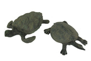 Hawksbill and Soft Shell Sea Turtle 2 Piece Statue Set Image 1