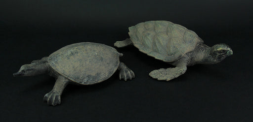 Hawksbill and Soft Shell Sea Turtle 2 Piece Statue Set Image 2