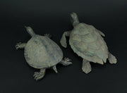 Hawksbill and Soft Shell Sea Turtle 2 Piece Statue Set Image 3