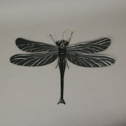 Enchanting Set of 3 Multicolor Metal Dragonfly Hanging Wall Sculptures -  indoor or Outdoor Decor  - Home and Garden Art -