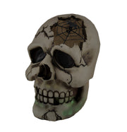 Color Changing LED Lighted Cracked Skull w/Web Statue Image 1