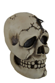 Color Changing LED Lighted Cracked Skull w/Web Statue Image 2