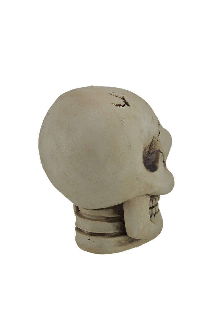 Color Changing LED Lighted Cracked Skull w/Web Statue Image 3