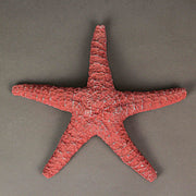 Set Of 3 Resin Starfish Wall Sculptures, 10.75 x 1.75 x 9.5 Inches Image 7