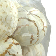 18-Piece Collection of Natural White and Brown Exotic Dried Organic Decorative Filler Balls for Centerpieces, Bowls and Vases