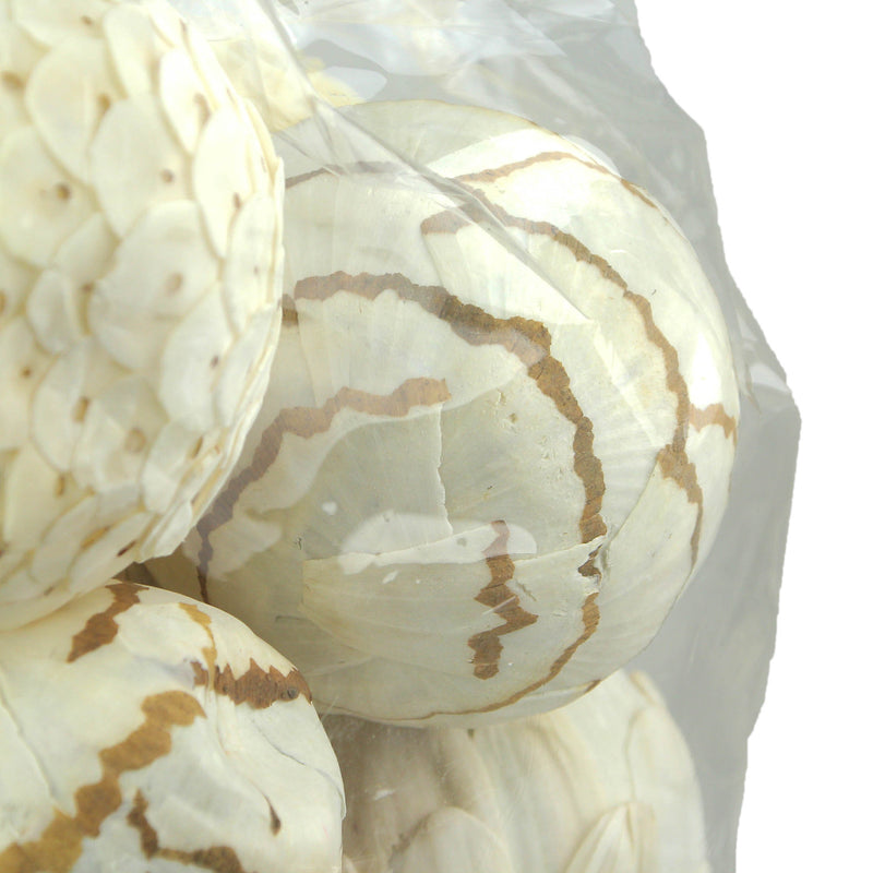 18-Piece Collection of Natural White and Brown Exotic Dried Organic Decorative Filler Balls for Centerpieces, Bowls and Vases