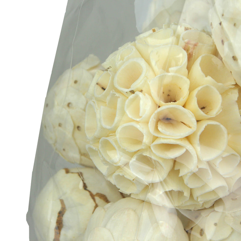 18-Piece Collection of Natural White and Brown Exotic Dried Organic Decorative Filler Balls for Centerpieces, Bowls and Vases