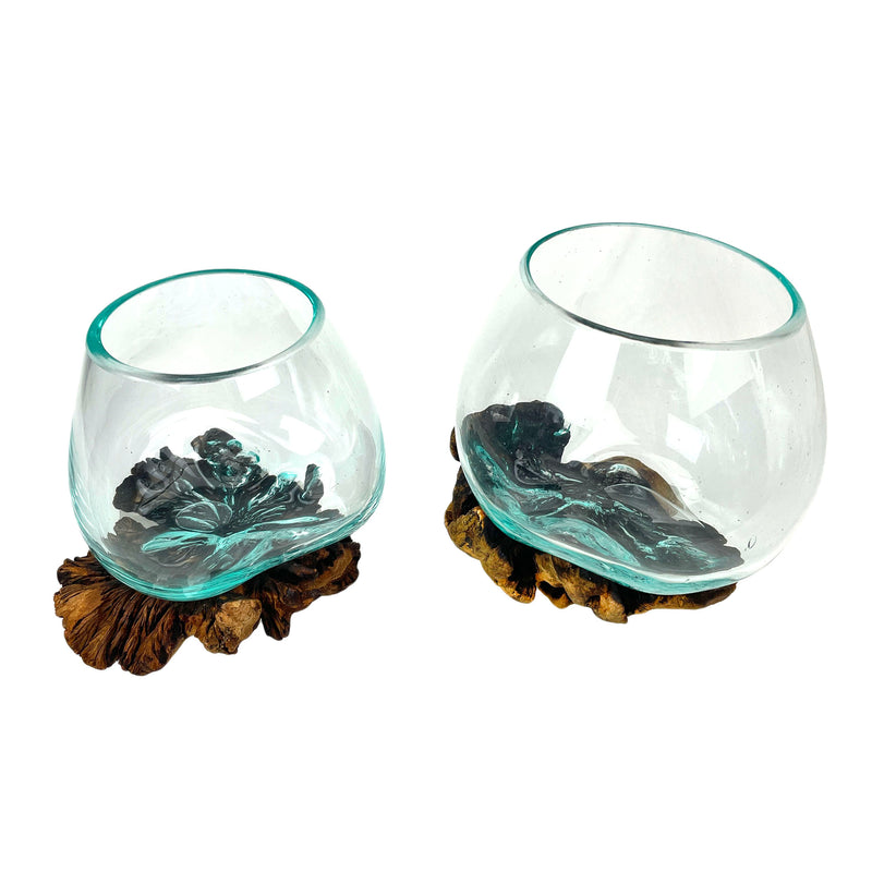 Set of 2 Blown Molten Glass and Burl Wood Decorative Bowls, Vases, and Terrariums, Each Unique Piece a Celebration of
