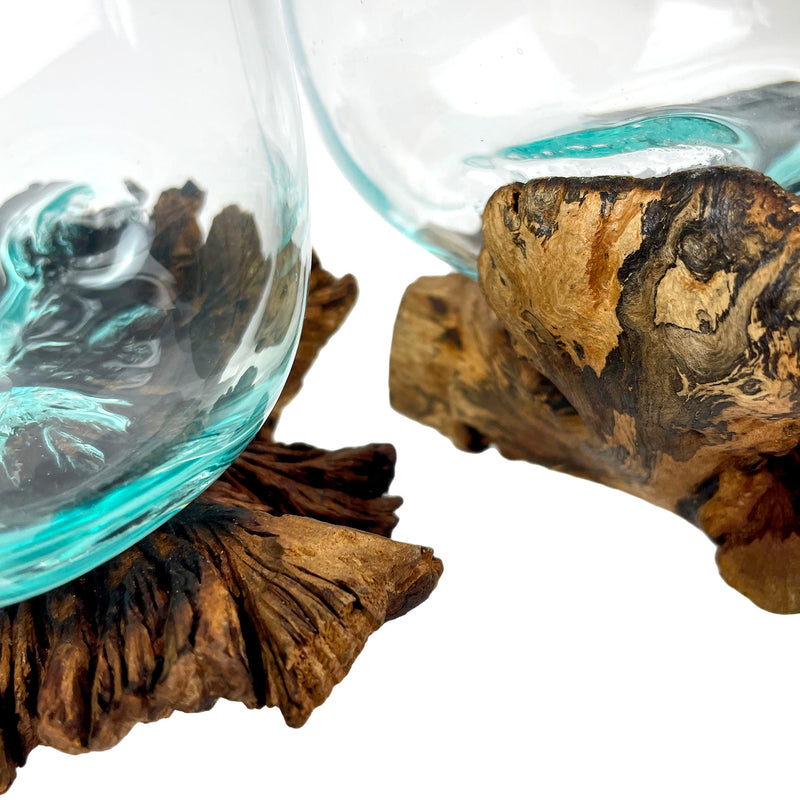Set of 2 Blown Molten Glass and Burl Wood Decorative Bowls, Vases, and Terrariums, Each Unique Piece a Celebration of