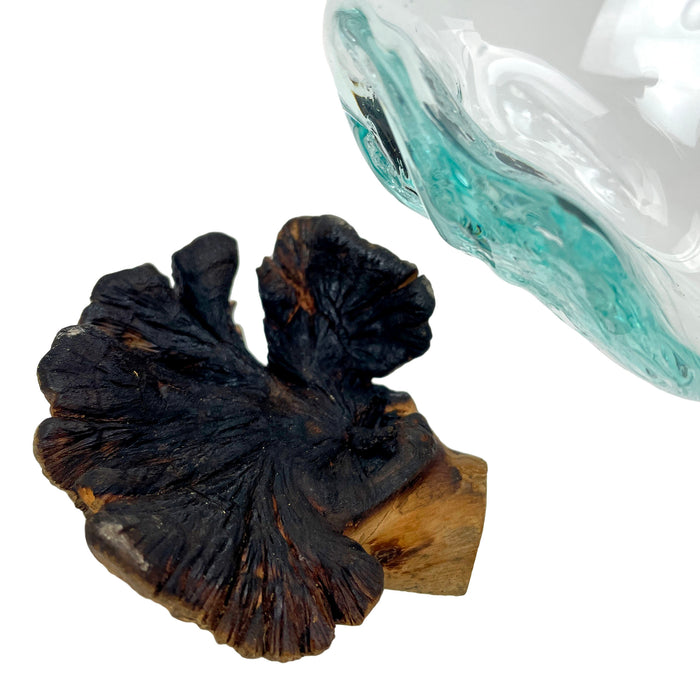 Set of 2 Blown Molten Glass and Burl Wood Decorative Bowls, Vases, and Terrariums, Each Unique Piece a Celebration of