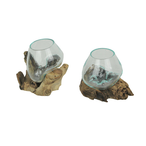 Set of 2 Glass and Teak Driftwood Decorative Bowls, Vases, and Terrarium Planters - Great for Bedrooms, Living Rooms and