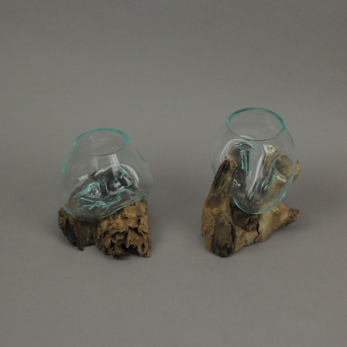 Set of 2 Glass and Teak Driftwood Decorative Bowls, Vases, and Terrarium Planters - Great for Bedrooms, Living Rooms and