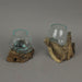 Set of 2 Glass and Teak Driftwood Decorative Bowls, Vases, and Terrarium Planters - Great for Bedrooms, Living Rooms and