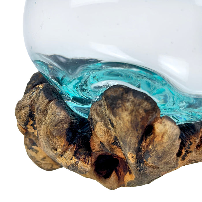 Melted Glass on Gamal Root Wood Decorative Bowl, Vase, and Terrarium Planter - Approximately 5 Inches High - Nature-Inspired